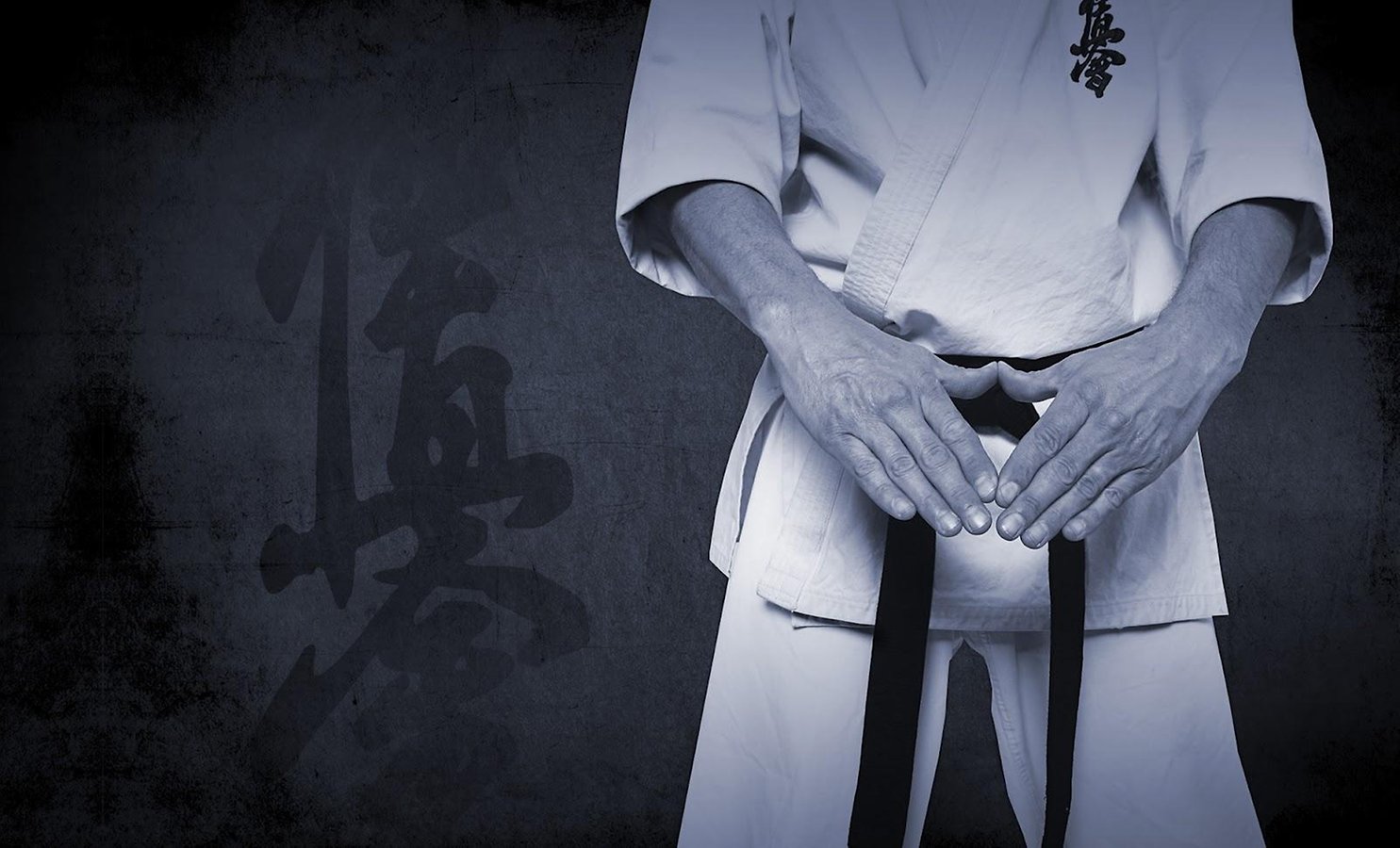 Daitan Karatê Shotokan Site Oficial Da Academia Daitan